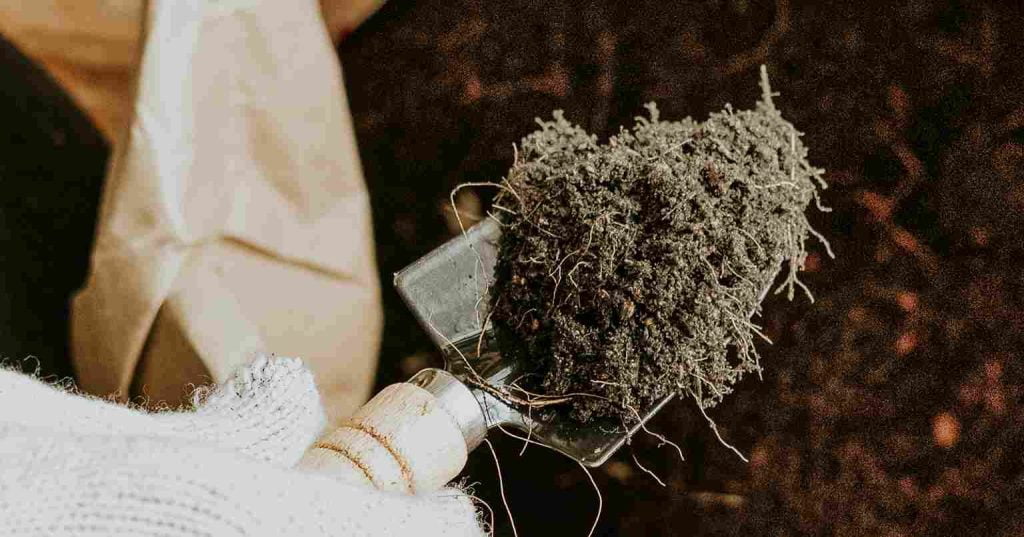 کود معدنی: تعریف، اجزا و کاربردها