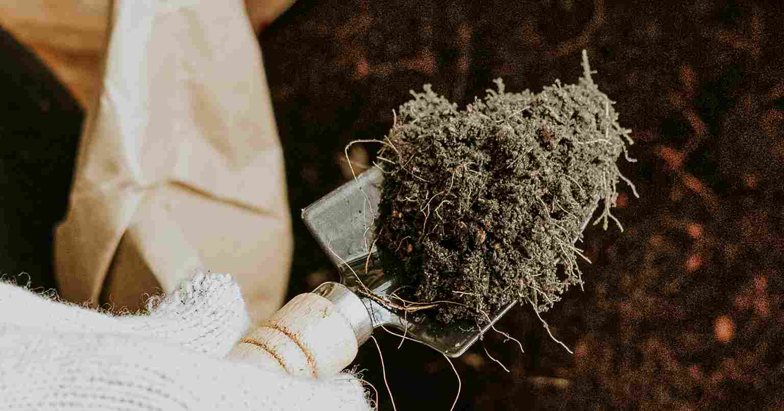 کود معدنی: تعریف، اجزا و کاربردها