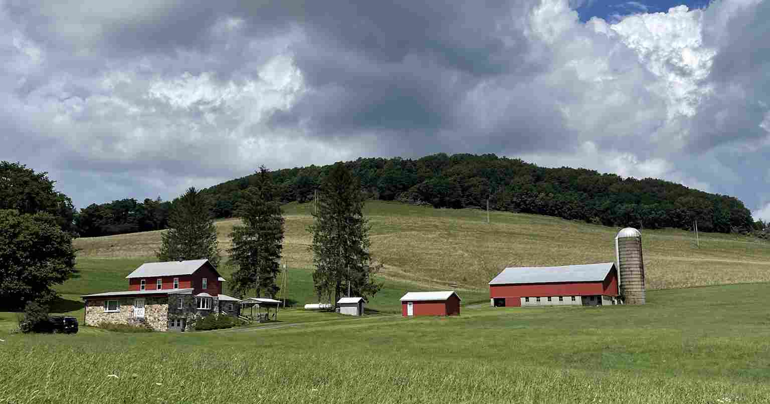 محاسن کود معدنی