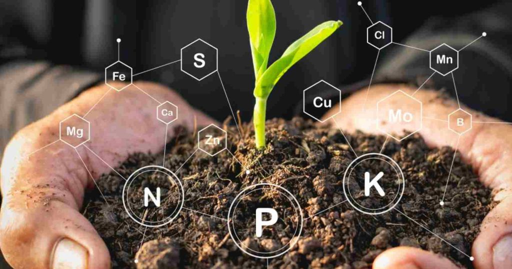 آزمایش خاک کشاورزی