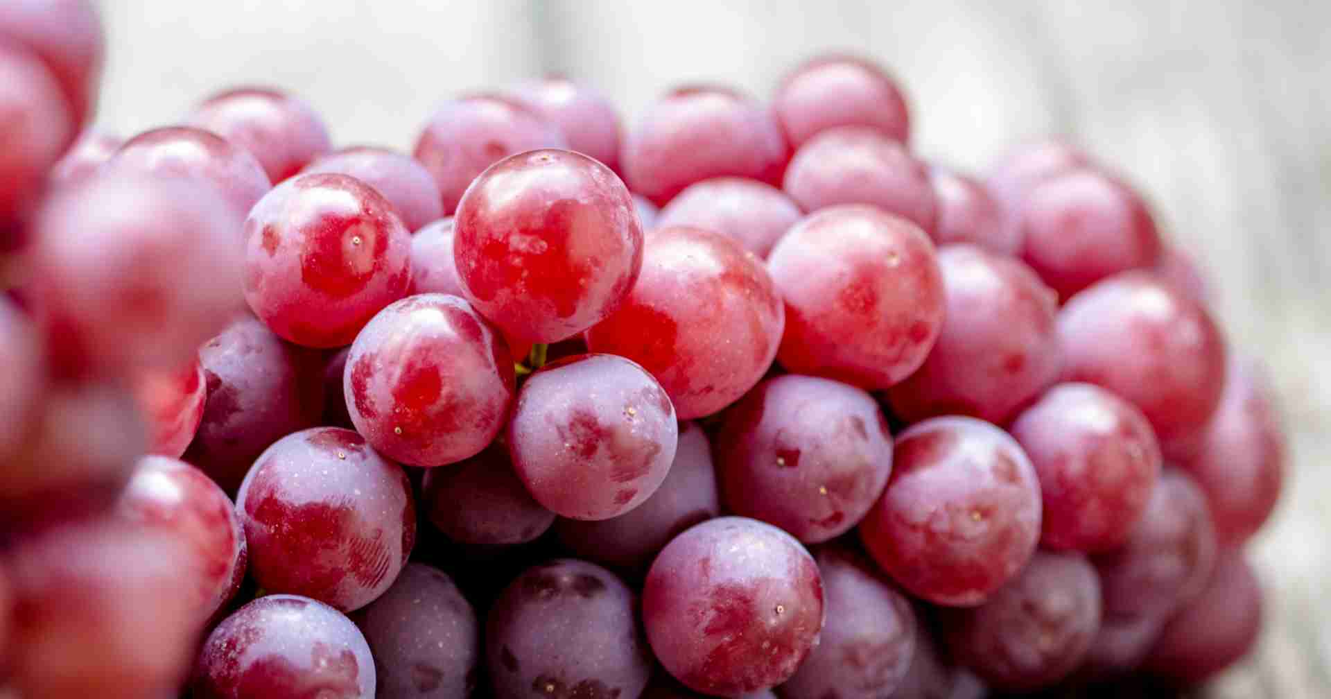 کوددهی درخت انگور