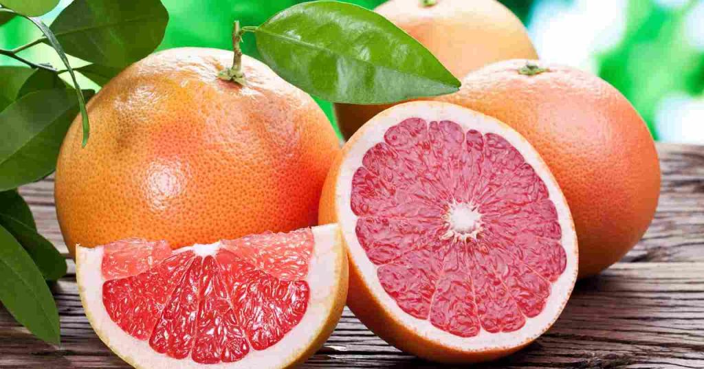 افزایش محصول مرکبات