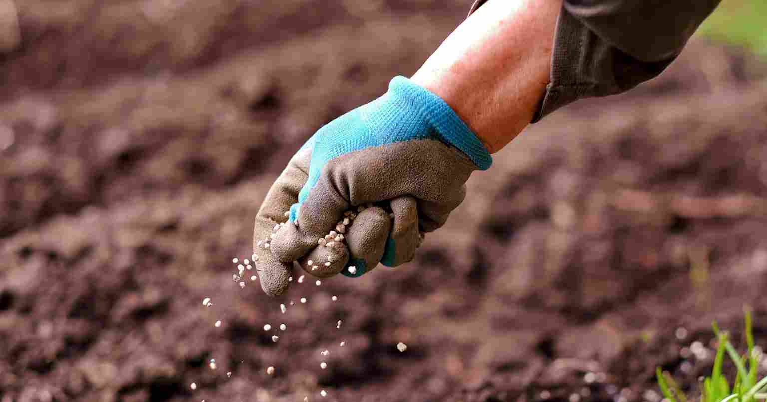 پخش کود تکسا